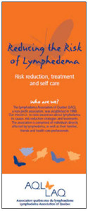 Risk reduction cover image - English
